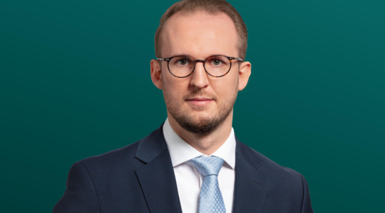 diemann dominik 02 final