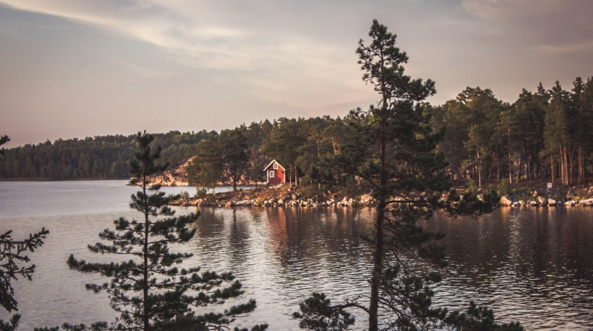 ines d anselme IAe4R RiB08 unsplash