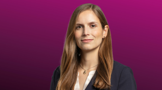 zellner vanessa